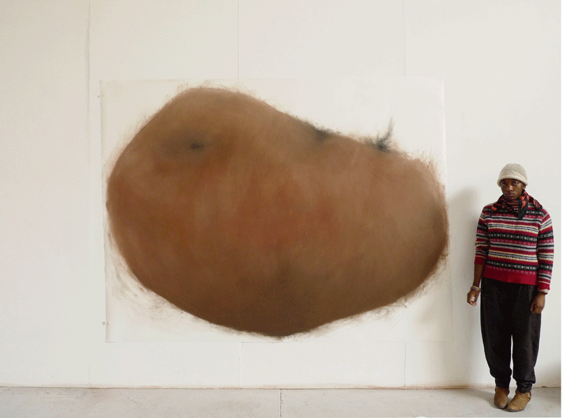 Patate, pastel sur papier, 150 x 230 cm, 2011